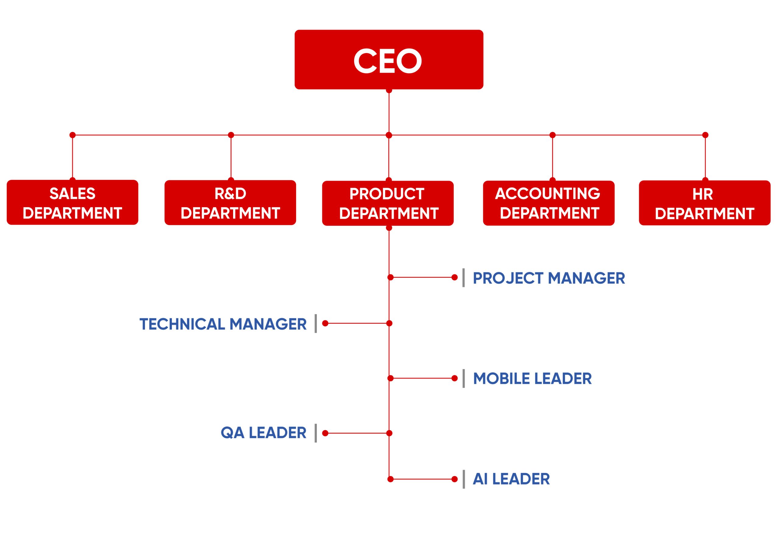 Organizational Structure